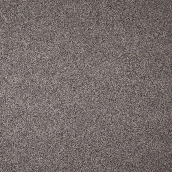 Ковролин коммерческий AW Stratos 92 серо-бежевый, 4*25м, 5мм/2,6мм/440 г/м2, PA, 100м2, рул картинка