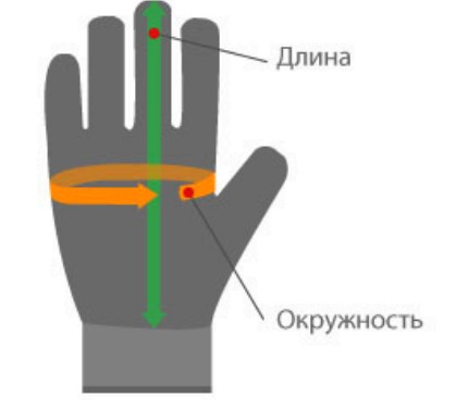 как определить размер перчаток