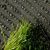 Трава искусственная Condor Riva 40, 4*25м, ворс 40мм/1436 г/м2, PE/PP, 100м2, рул фото