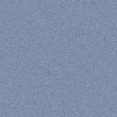 Линолеум коммерческий TARKETT PRIMO PLUS 309, 2*23, 2мм (46 м2) фото