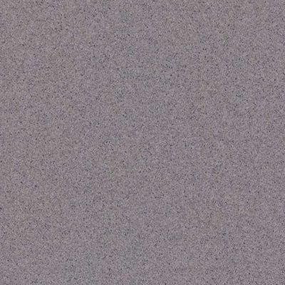 Линолеум коммерческий TARKETT PRIMO PLUS 314, 2*23, 2мм (46 м2) фото