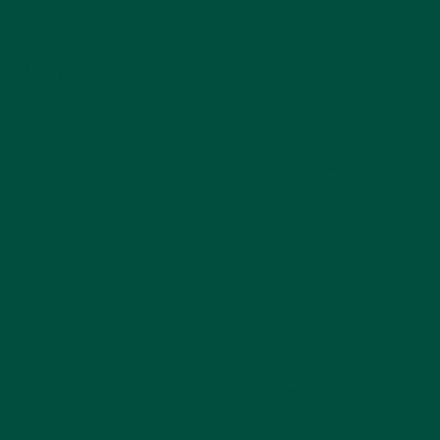 Линолеум спортивный TARKETT OMNISPORT R65 Forest Green, 2*20,5м, 6,5/0,7мм(41 м2) фото