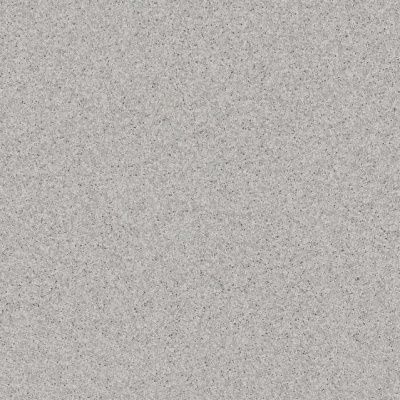 Линолеум коммерческий TARKETT PRIMO PLUS 315, 2*23, 2мм (46 м2) фото